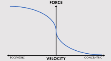 Force-Velocity Relationship Curve